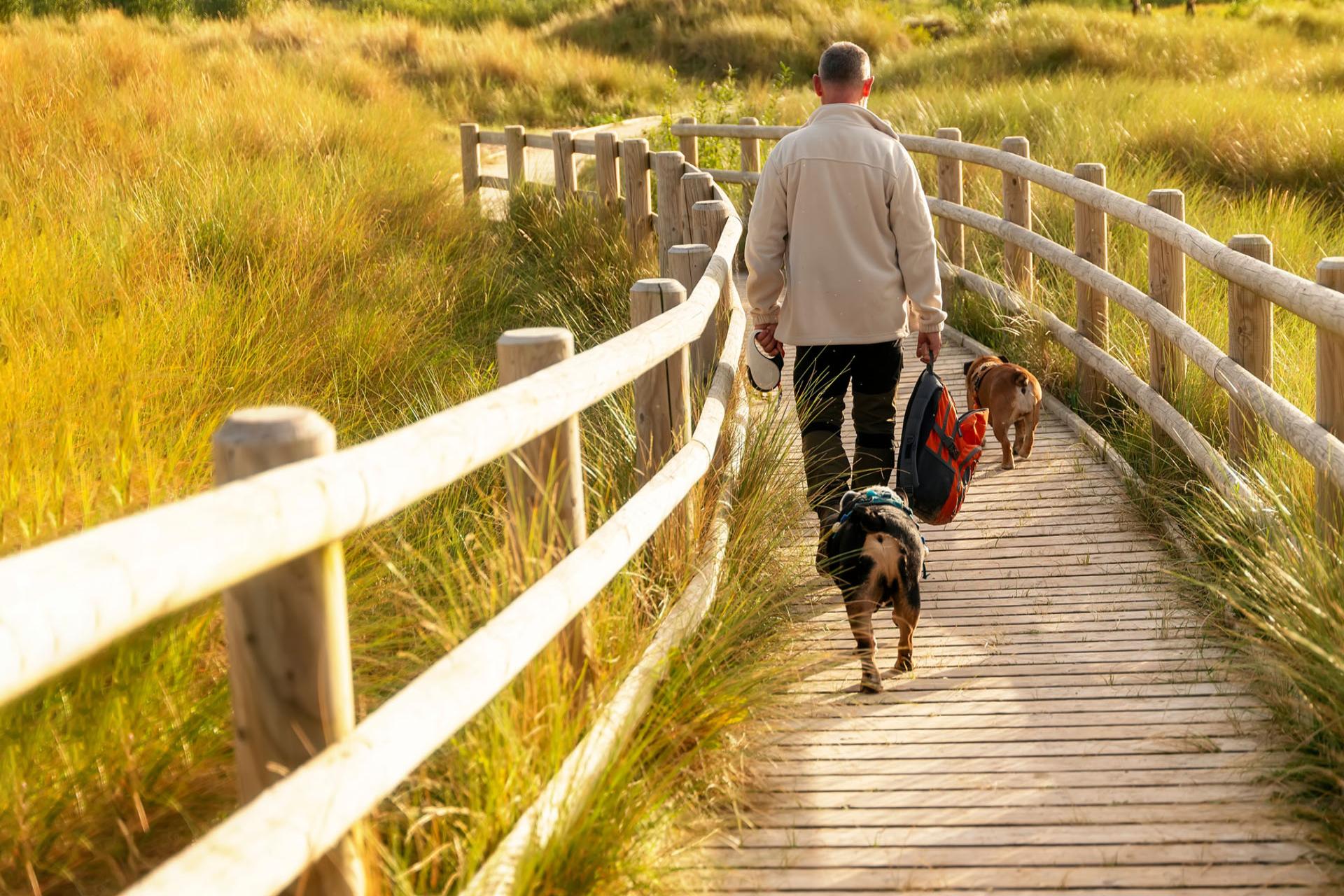 NHS Pension Guidance